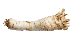 Sibirski ginseng (Eleutherococcus senticosus)
